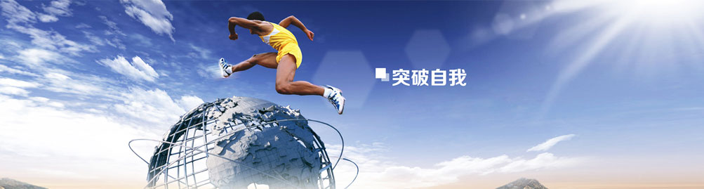 公司簡介